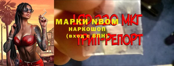 2c-b Новозыбков