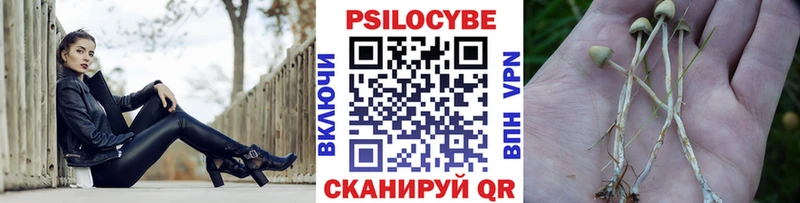 гидра ТОР  купить закладку  Миасс  Галлюциногенные грибы мицелий 