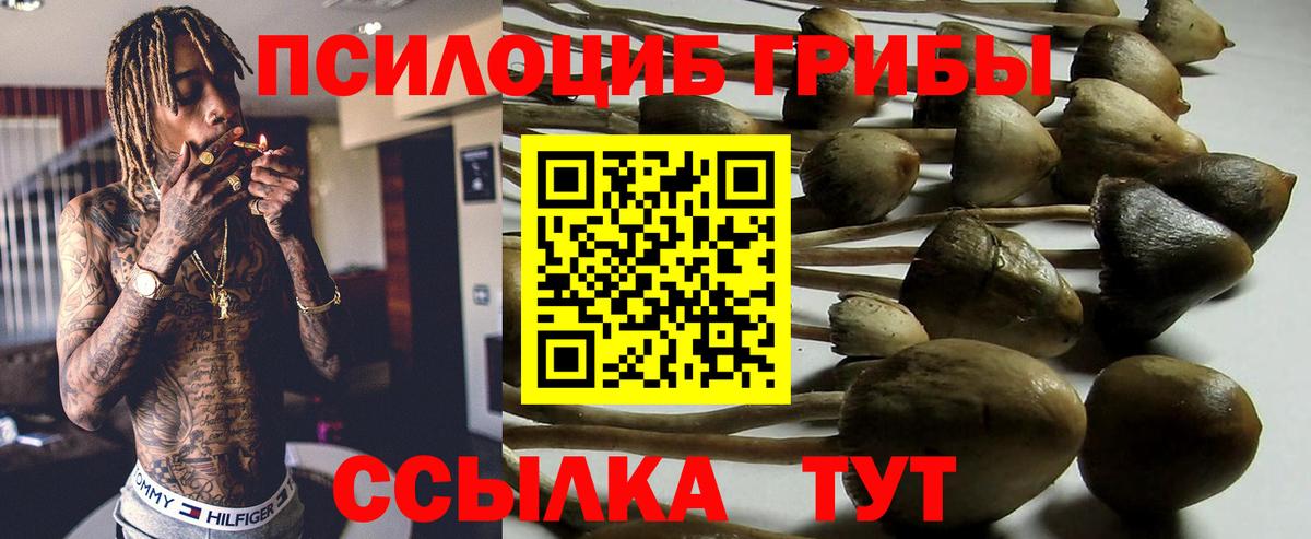 магазин  наркотиков  Вход с VPN  Миасс  Псилоцибиновые грибы мицелий 